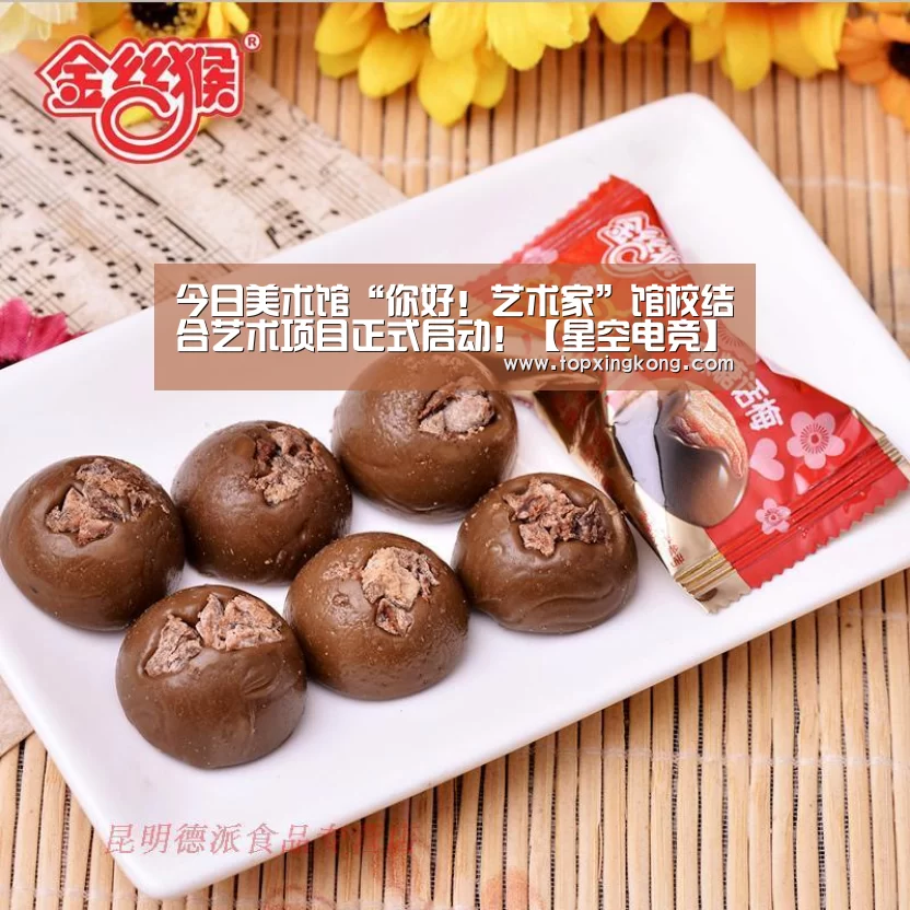 今日美术馆“你好!艺术家”馆校结合艺术项目正式启动!【星空电竞】(图2) 星空下载
