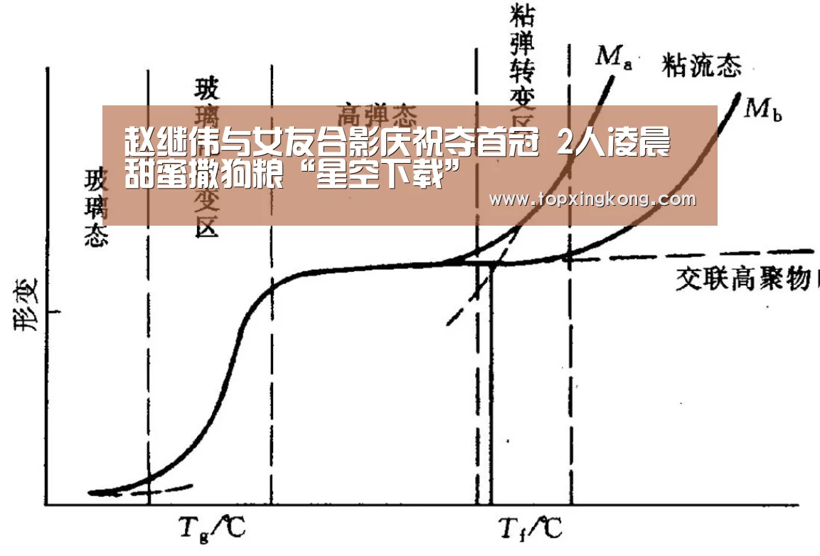 星空竞猜