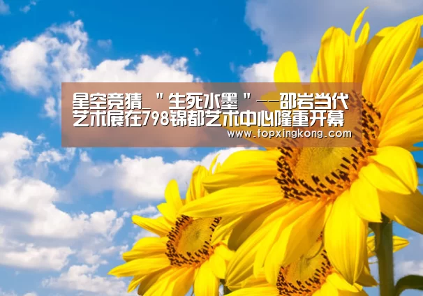 星空竞猜_"生死水墨"--邵岩当代艺术展在798锦都艺术中心隆重开幕(图1) 星空电竞