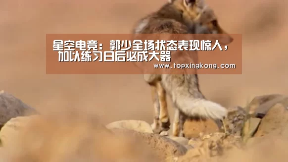 星空电竞:郭少全场状态表现惊人, 加以练习日后必成大器(图3) 星空娱乐