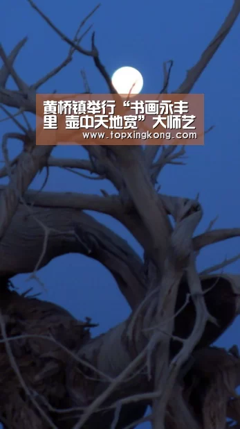 黄桥镇举行“书画永丰里 壶中天地宽”大师艺术展-星空竞猜(图1) 星空下载