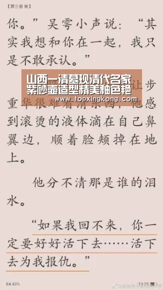 山西一清墓现清代名家紫砂壶造型精美釉色艳丽作者:王飞航2012-06-0709:15:28来源:新华网 记者从山西永济市|星空娱乐(图2) 星空竞猜