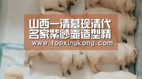 山西一清墓现清代名家紫砂壶造型精美釉色艳丽作者:王飞航2012-06-0709:15:28来源:新华网 记者从山西永济市|星空娱乐(图4) 星空下载