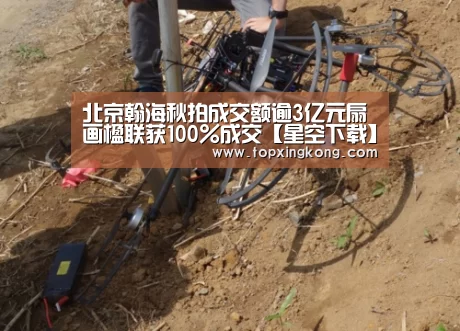 北京翰海秋拍成交额逾3亿元扇画楹联获100%成交【星空下载】(图4) 星空下载