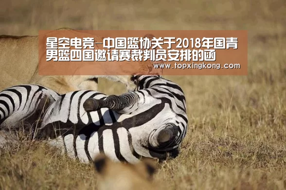 星空电竞-中国篮协关于2018年国青男篮四国邀请赛裁判员安排的函(图2) 星空娱乐